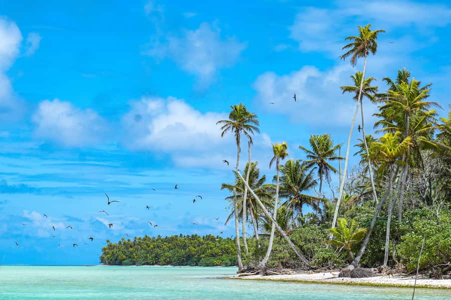 From Tahiti: Tetiaroa Island Tour by Sailing Catamaran - Why Tetiaroa makes the long trip worthwhile