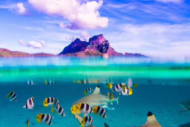 Full-Day Bora Bora Lagoon Cruise Including Snorkeling with Sharks and Stingrays - Key things to know before booking