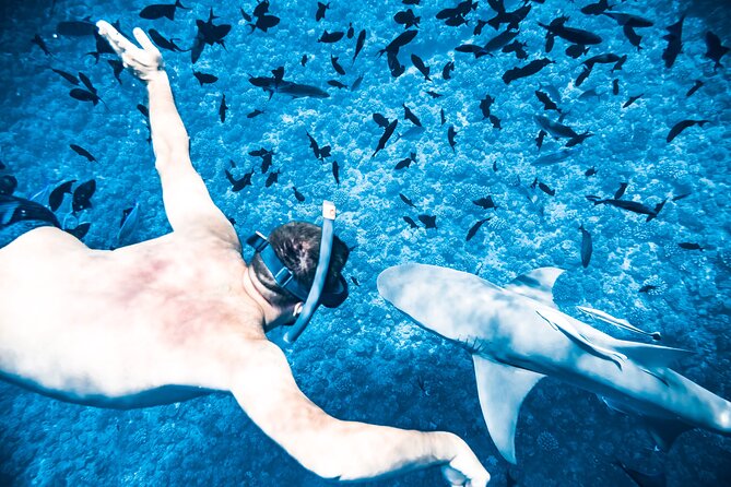 Full-Day Bora Bora Lagoon Cruise Including Snorkeling with Sharks and Stingrays - Coral Gardens and a natural aquarium of fish