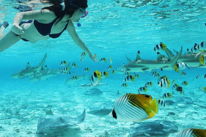 Full Day Combo Bora Bora ATV Tour & Motu Pass with Buffet - The motu lunch is more than a standard picnic