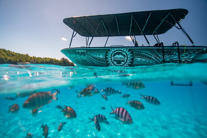 Full Day Eco Snorkeling & Traditional BBQ Lunch on a Motu - Why the lagoon route works so well