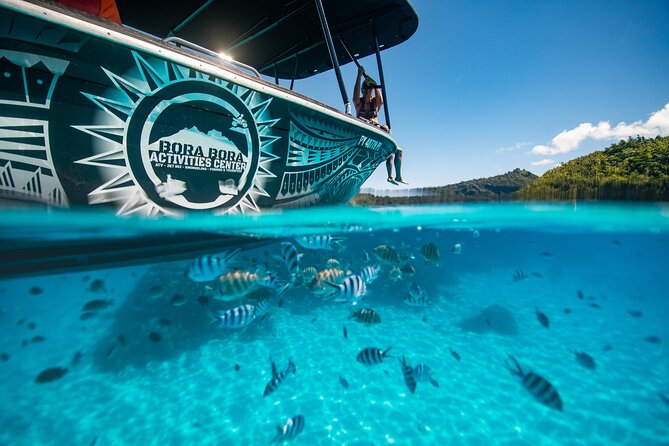 Full Day Eco Snorkeling & Traditional BBQ Lunch on a Motu - What the $204.06 price includes