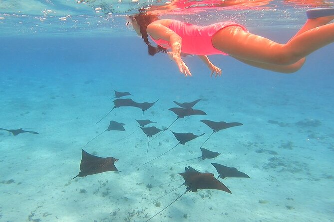 Full-day Lagoon Safari Tour with Lunch in Bora Bora - Shared tour - What makes this Bora Bora boat day special