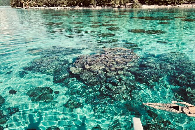 Full-day Lagoon Safari Tour with Lunch in Bora Bora - Shared tour - Setting out from Matira at 9:00 a.m.