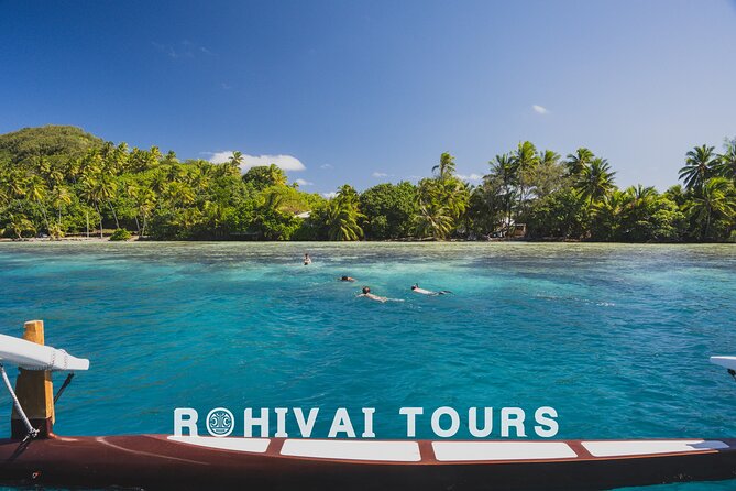 Full-day Lagoon Safari Tour with Lunch in Bora Bora - Shared tour - Searching for manta rays and eagle rays