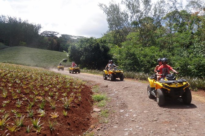 Grand Tour Quad Excursion in Moorea (Single or Two-Seater) - Belvedere Lookout and the Two Bays