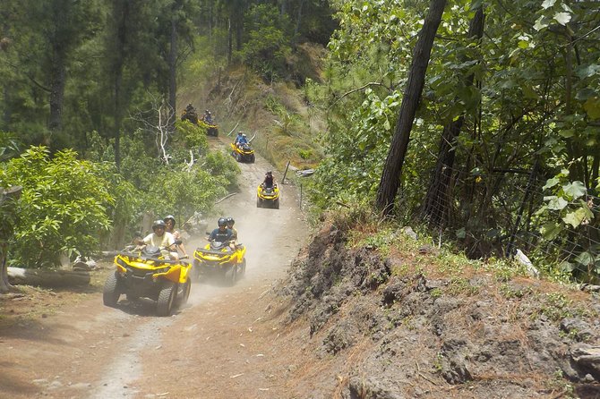 Grand Tour Quad Excursion in Moorea (Single or Two-Seater) - Fare Tutava for Fruit and Local Products