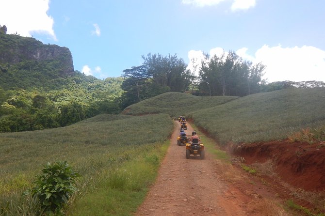 Grand Tour Quad Excursion in Moorea (Single or Two-Seater) - Magic Mountain: The Big View at 45 Minutes