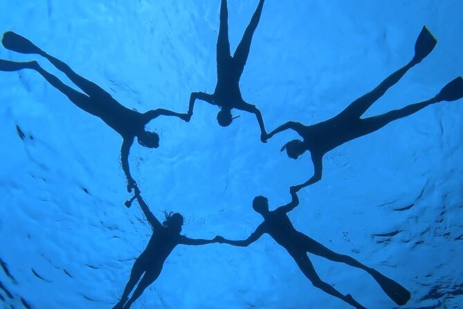 Guided Small Group Whale Watching and Swim Tour Tahiti - Practical advice before you book