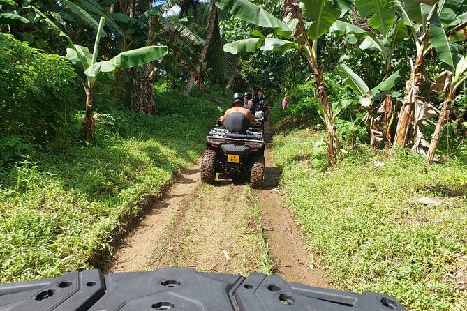 Guided tour of the island and its escapades in Tahaa by Quad / ATV - Pausing at Marae Vaima’i