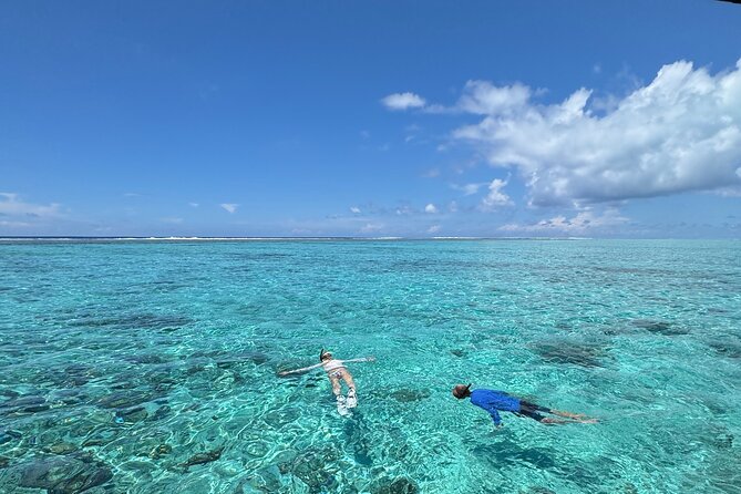 Half day Eco Snorkeling small group Tour in Bora Bora - Key points to know before booking