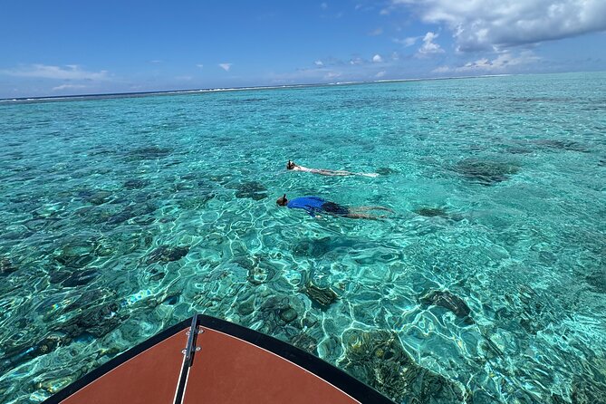 Half day Eco Snorkeling small group Tour in Bora Bora - Rays, reef sharks, and the excitement of the lagoon