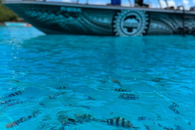 Half day Eco Snorkeling small group Tour in Bora Bora - Local stories make the three hours feel fuller