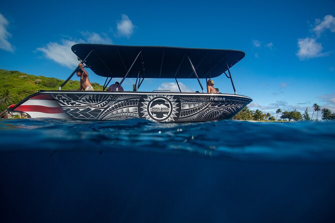 Half day Eco Snorkeling small group Tour in Bora Bora - First swims: shallow water and easy orientation