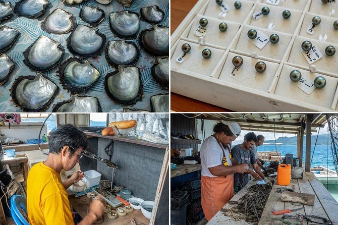 Half day excursion Tahaa - departure Raiatea / ideal cruise line - At the pearl farm, the craft story gets stronger