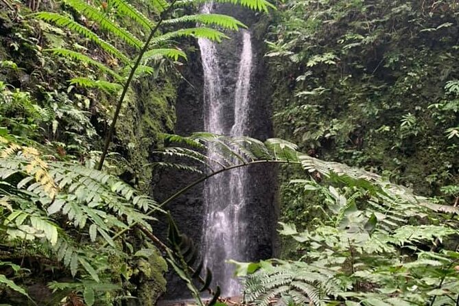 Half-Day Guided Hike to Afareaitu Waterfall - Key points to know before you book