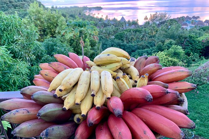 Half-Day Guided Hike to Afareaitu Waterfall - Who should book this Moorea hike?