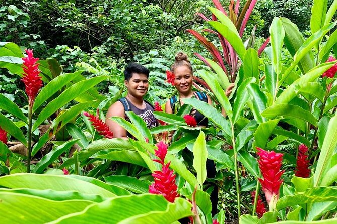 Half-Day Guided Hike to Afareaitu Waterfall - The trail, the ruins, and the real level of effort