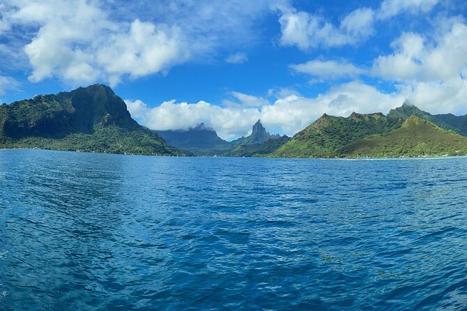 Half-Day Humpback Whales Encounter in Moorea - Key points before you book