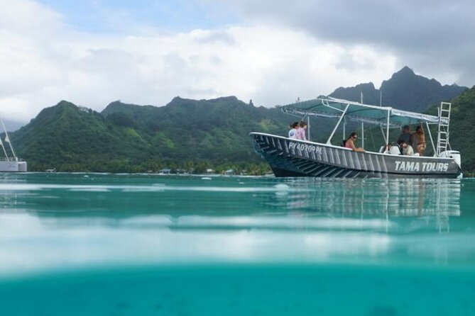 Half-Day Humpback Whales Encounter in Moorea - Why Moorea is a special place for humpback whales