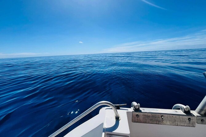 Half-Day Humpback Whales Encounter in Moorea - What an in-water encounter is really like