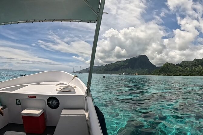 Half-Day Humpback Whales Encounter in Moorea - Weather can change the experience
