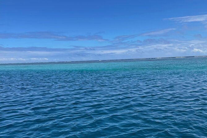 Half-Day Humpback Whales Encounter in Moorea - Is $236.85 a fair price?