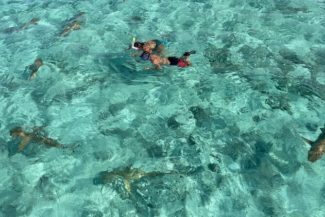 Half day lagoon safari tour in Bora Bora- Shared tour - Key points to know before booking