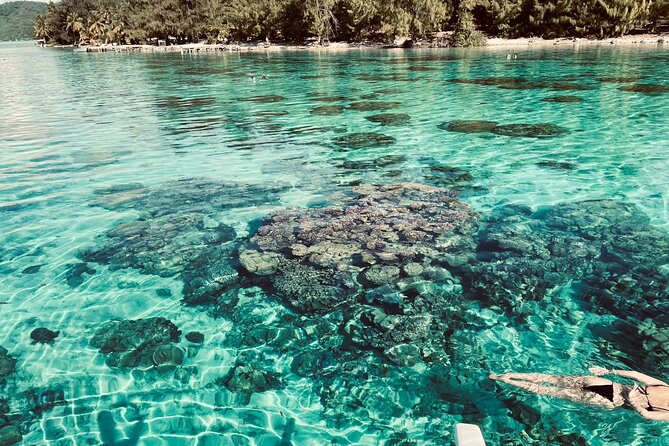 Half day lagoon safari tour in Bora Bora- Shared tour - The boat ride around Bora Bora