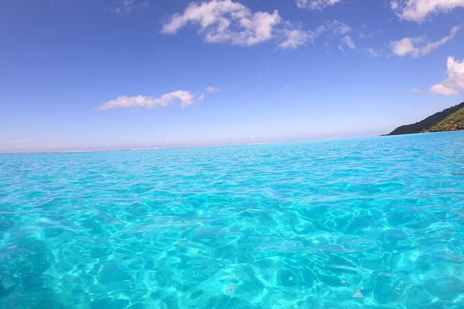 Half Day Private Boat Snorkeling Excursion Moorea - The open-water aquarium at Motu Tiahura