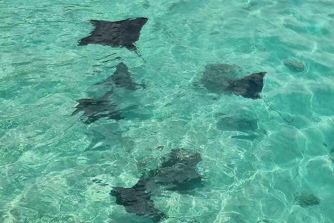 Half Day Private Boat Snorkeling Excursion Moorea - The submerged tiki and coral garden