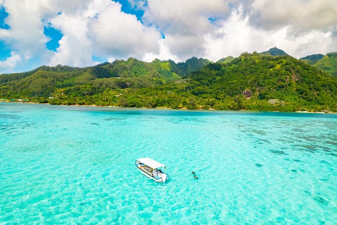 Half Day / Private Lagoon Adventure in Mo'orea - Key points at a glance