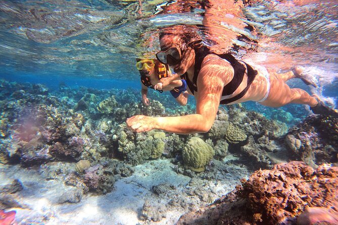Half Day / Private Lagoon Adventure in Mo'orea - Is $668.05 a fair price?