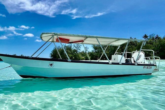 Half Day / Private Lagoon Adventure in Mo'orea - Meeting rays and reef sharks at the sandbar