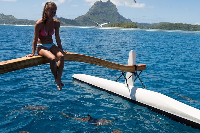 Half Day Private Lagoon Snorkeling Experience - Why this private Bora Bora outing works
