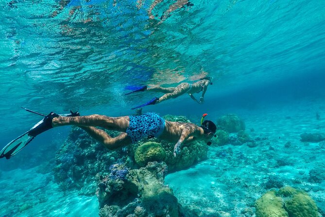 Half-Day Private Luxury Tour from Bora Bora - Why this private lagoon tour works
