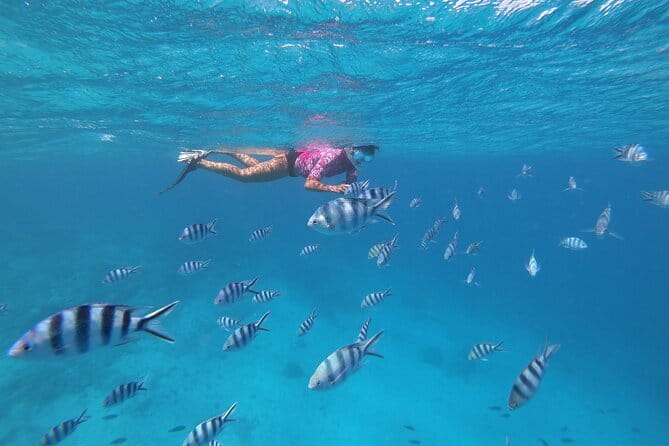 Half-Day Sailing Trip on the Lagoon of Tahiti Comments - Cancellation and timing in plain English