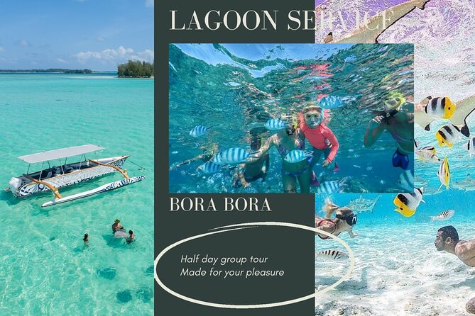 Half-Day Small-Group Cruise in Bora Bora with Snorkelling - Three stops that show Bora Bora from below