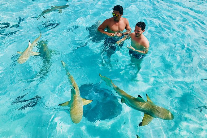 Half Day Snorkeling in Moorea - Why This Half-Day Trip Works So Well on Moorea
