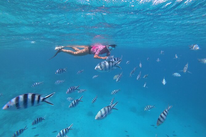 Half-Day Snorkeling Tour in Tahiti - Fruit, drinks, and the local touch