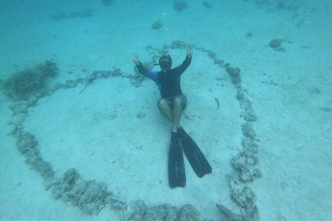 Half-Day Snorkeling Tour in Tahiti - What the $170.78 price buys you