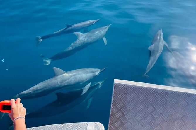 Half day Tahiti Peninsula and Teahupoo boat tour (shared boat) - Food, drinks, and the small-boat atmosphere