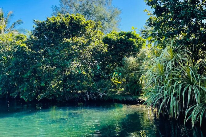 Half day Tahiti Peninsula and Teahupoo boat tour (shared boat) - Is $255.07 a fair price?
