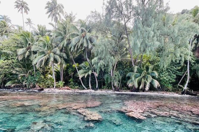 Half day Tahiti Peninsula and Teahupoo boat tour (shared boat) - Watching the Teahupo’o reefbreak