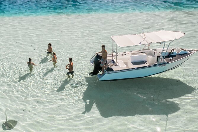 Half Day Tour lagoon discovery marine fauna flora small group - Turtle snorkeling brings the tour back to calmer water