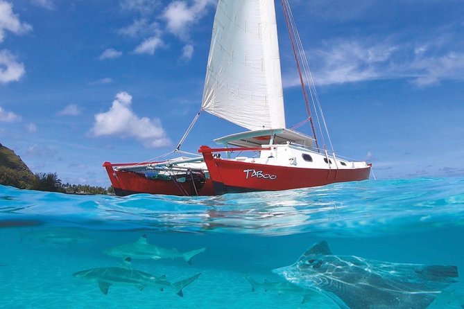 Half Day Tour : Moorea Snorkeling & Sailing on a Catamaran named Taboo - Why this four-hour Moorea outing gets high marks