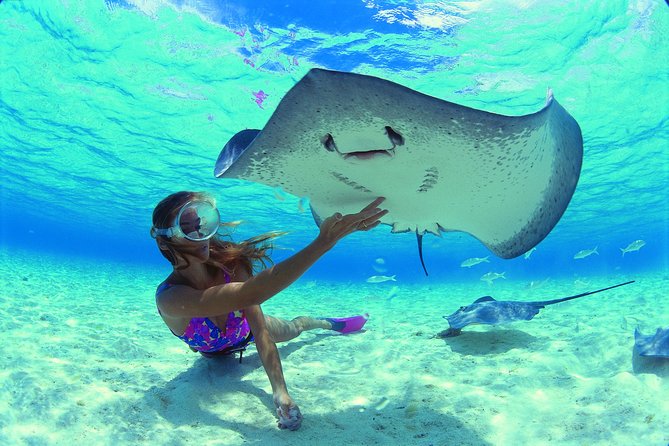 Half Day Tour : Moorea Snorkeling & Sailing on a Catamaran named Taboo - Snorkeling with blacktip sharks and stingrays