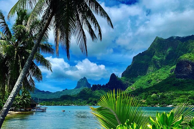 Half-Day Tour of Moorea Island in a Small Group - Key points to know before booking