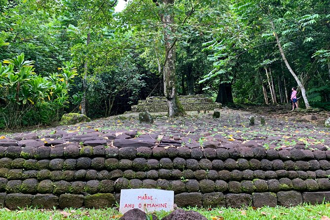 Half-Day Tour of Moorea Island in a Small Group - Belvedere Lookout and the story behind the peaks