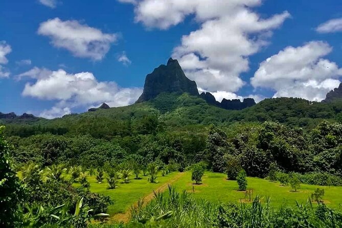Half-Day Tour of Moorea Island in a Small Group - Opunohu Bay and Moorea’s mountain setting